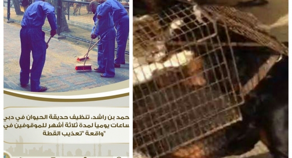 فيديو صادم لشبان يقدمون قطة لكلاب شرسة وحاكم دبي يعاقبهم بتنظيف حديقة الحيوانات=فيديو=