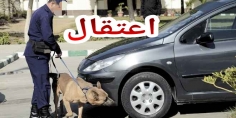خايبة فالتعاويدة… الجمارك شدو طوموبيل مرقمة باسبانية داخلة للمغرب و مولاها مهرب فيها كمية كبيرة بطريقة غبية!