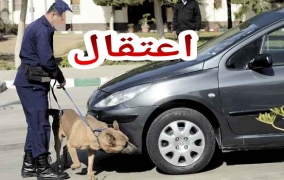 خايبة فالتعاويدة… الجمارك شدو طوموبيل مرقمة باسبانية داخلة للمغرب و مولاها مهرب فيها كمية كبيرة بطريقة غبية!