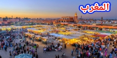 “نتلاقاو فمراكش”… دعوات لإنجاح حملة تواصلية وطنية لزيارة المدينة الحمراء إثر زلزال الحوز