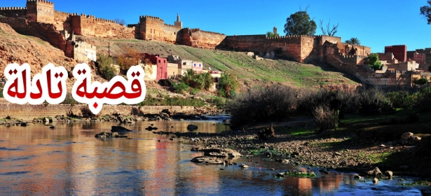 حزب العدالة والتنمية بقصبة تادلة يُشيد بتضامن شبيبته و شباب المدينة مع المتضررين من الزلزال ويطالب الجماعة بإلغاء المهرجان وبرفع ضرر الروائح الكريهة بوادي أم الربيع