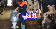 الحكومة تتدخل للحد من نقص الحليب بالمغرب وهذا ما قررته!