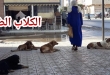 شهد شاهد من أهل الحكومة! … وزير سابق وقيادي سياسي يتعرض لعضة كلب ضال ويقاضي الجماعة ونشطاء يعلقون:” لكلاب الضالة ماتاتفرق لا بين وزير ولا مواطن”!!