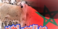 عيد الأضحى في المغرب… من سنة نبوية إلى طقس إجتماعي شبه إلزامي!