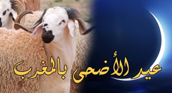 عااجل…عيد الأضحى بالمغرب يوم 12 شتنبر