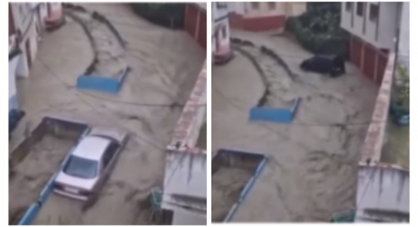 بالفيديو… أمطار غزيرة وسيول قوية تجرف السيارات بمدينة طنجة