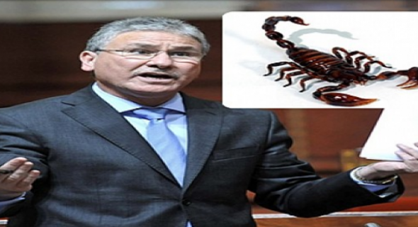 عاجل ومؤلم…فضيحة وزير الدجاج… عقرب تحول عرس الى مأثم بمصرع عروس  وهي الحالة الثالثة في أقل من 3 أيام بالفقيه بن صالح