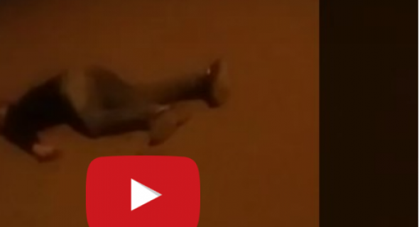 عاجل… أول فيديو لإطلاق شرطة بني ملال الرصاص الحي على شاب يحمل سكين ولحظات احتضاره أمام والدته