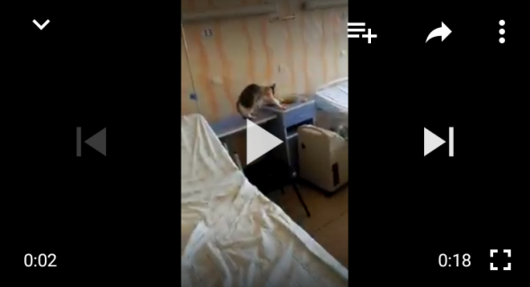 بالفيديو… القطط تغزو المستشفى الجهوي ببني ملال وتأكل من وجبات المرضى