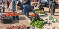 اجيو تفهمو اش واقع!… هاد الدعم المالي لي دارو اخنـ،وش لصحاب النقل راه نسخة “بنكيرانية” داروها في2013 وماطبقوهاش وهاد القرار غير منصف لعموم المغاربة وماغاديش يحل مشكل الزيادات فالاسعار!