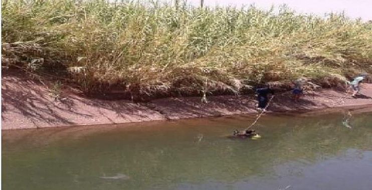 اضغط على الصورة لرؤيتها بالحجم الطبيعي