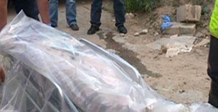 اضغط على الصورة لرؤيتها بالحجم الطبيعي