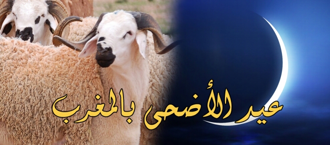 عااجل…عيد الأضحى بالمغرب يوم 12 شتنبر