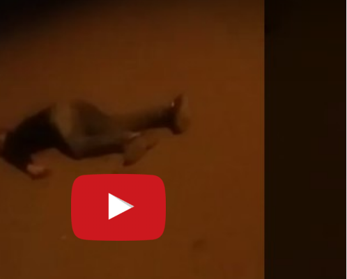 عاجل… أول فيديو لإطلاق شرطة بني ملال الرصاص الحي على شاب يحمل سكين ولحظات احتضاره أمام والدته