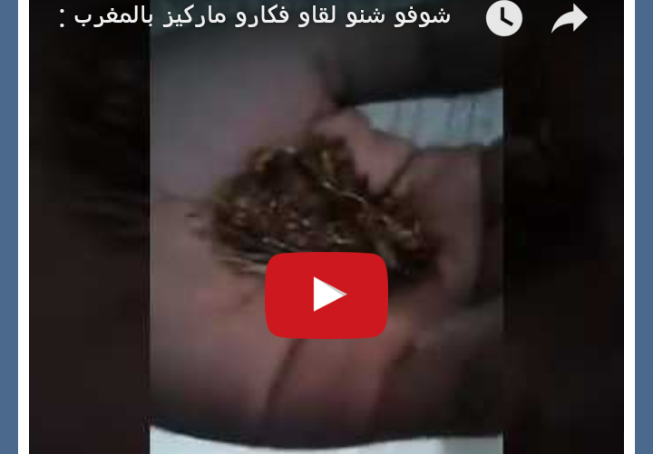 بالفيديو… شوفو اش لقاو فالكارو فالمغرب !