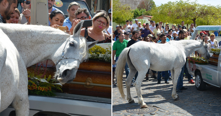 صور مؤثرة لحصان يبكي وفاة صاحبه ويُشيعه إلى القبر