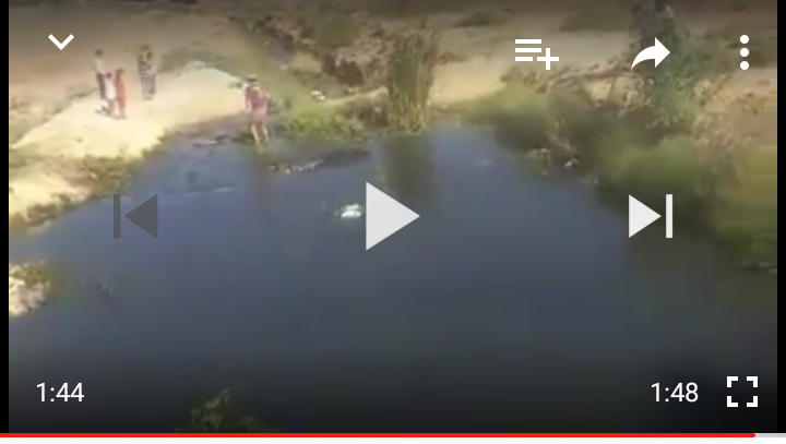 بالفيديو… كارثة بيئية تضرب دار ولد زيدوح و كوزيمار في قفص الاتهام