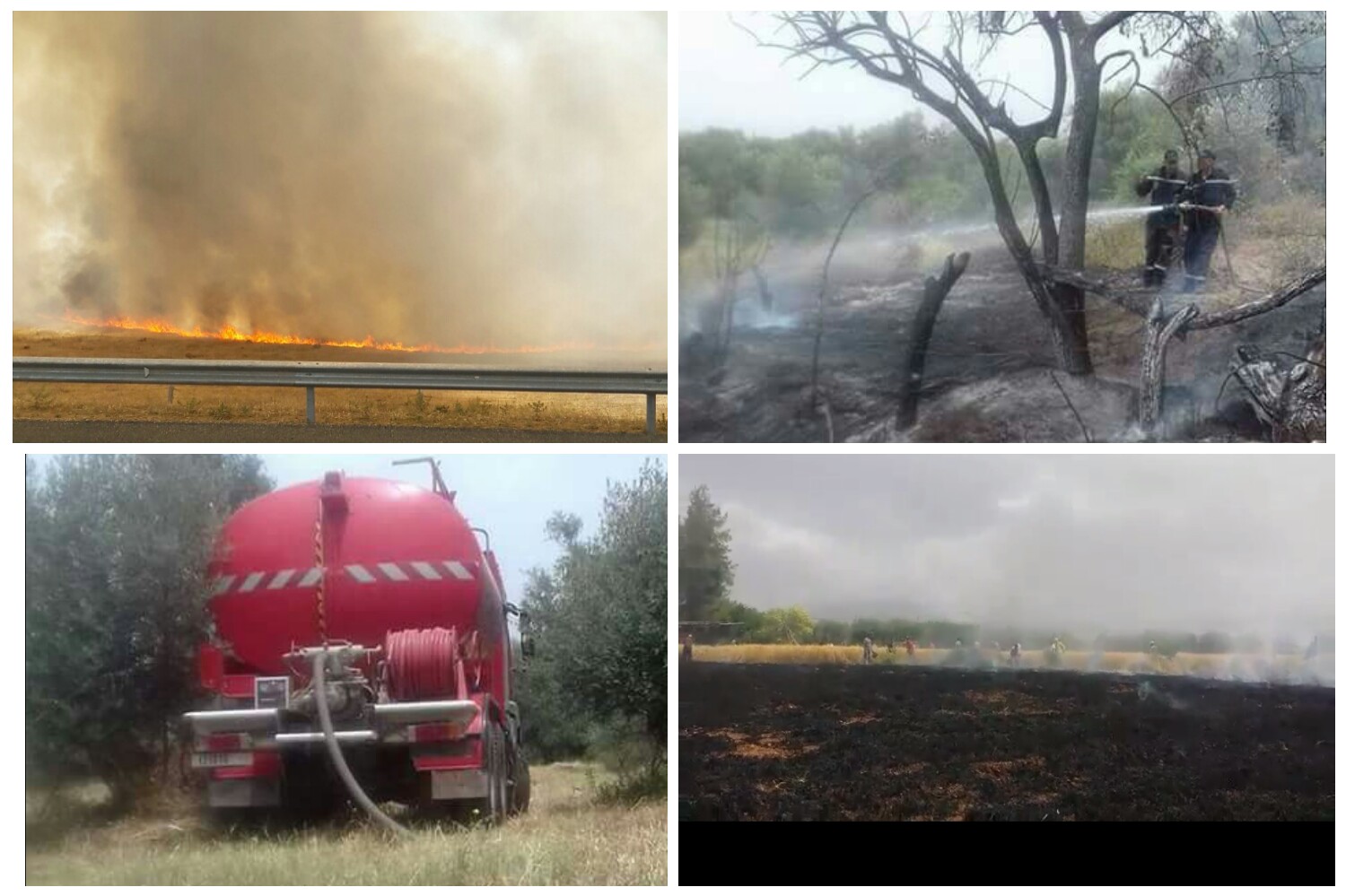 ردوا لبال مع لحرارة… النيران تأكل محصول أراضي زراعية في مناطق متفرقة – الصور + فيديوهات-