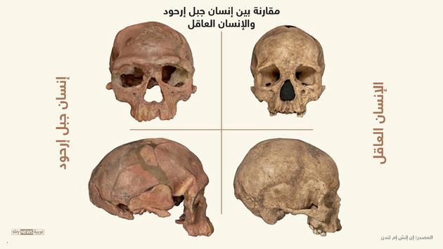 باحثون: هكذا تم اكتشاف أقدم إنسان عاقل بالمغرب
