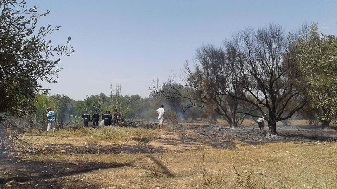 النيران تلتهم أشجار الزيتون بامغيلة والوقاية المدنية تتدخل وتجنب انتقالها لضيعات مجاورة -الصور-
