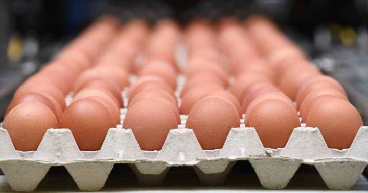 تحذير… لا لتخزين البيض بباب الثلاجة
