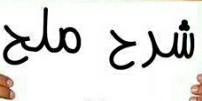 “شرح ملح” نافذة جديدة لتاكسي نيوز لمناقشة القضايا وكشف المستور بدون مكياج