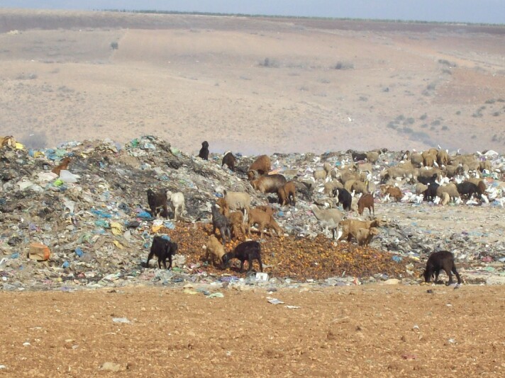 سكان بقصبة تادلة يطالبون بتغيير مكان مطرح النفايات الصلبة ويوجهون عريضة إلى رئيس جماعة سمكت تتضمن الأضرار الصحية و البيئية