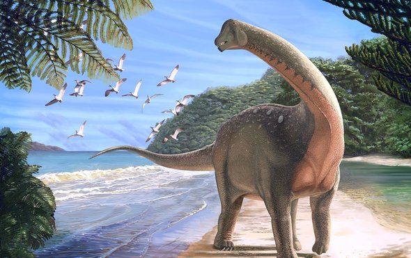 شاب وفتيات بمصر وراء اكتشاف ديناصور عمره 80 مليون سنة – صور-