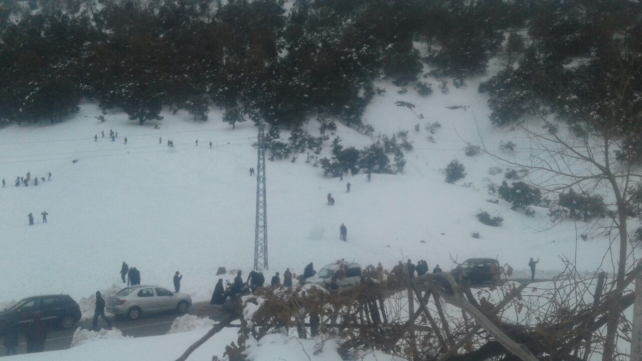 توزيع أفرنة إيكولوجية بجماعة ناوور وإقبال مكثف للزوار للإستمتاع بالثلوج بمنطقة تيزي نايت ويرة – صور-