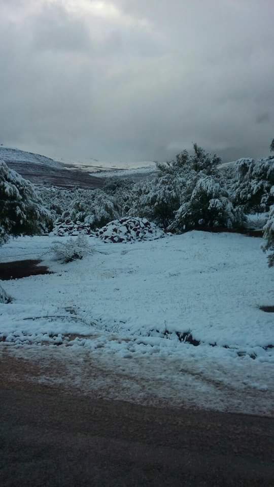 نداااء عااااجل إلى السلطات بأزيلال وأكاديمية بني ملال من طلبة وأساتذة متعاقدين محاصرين بالثلوج بالجبل