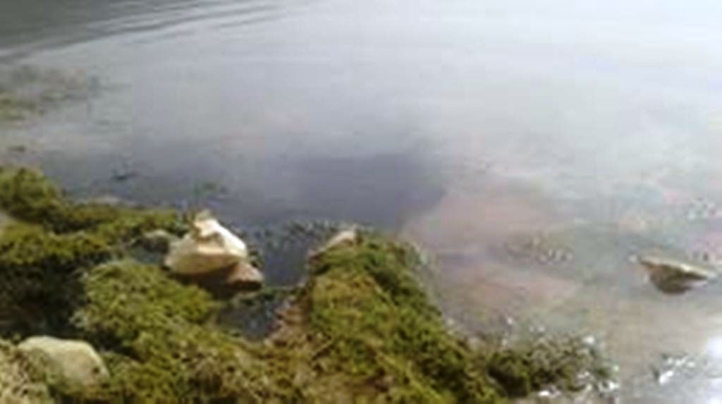 كارثة إيكولوجية تهدد بحيرة بين الويدان أمام صمت رهيب للمسؤولين =صور +فيديو=