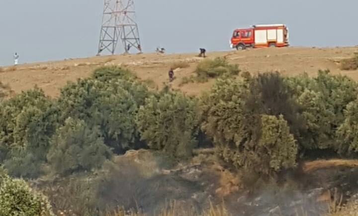 عاجل… حريق يجهز على الأشجار بطريق الفقيه بن صالح والوقاية المدنية تتدخل -صور-