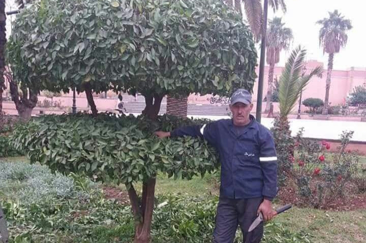 صالح زكار عامل بالمناطق الخضراء بجماعة بني ملال، لمسات فنية متقونة وإبداع على أشجار المدينة