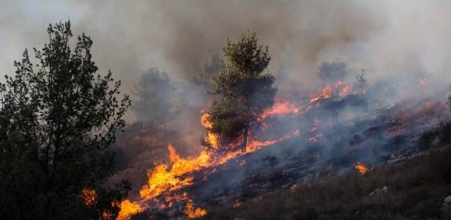 اندلاع حريق مهول بغابات في ضواحي بيزارو الإيطالية والسلطات تجلي مئات المواطنين بينهم مهاجرين