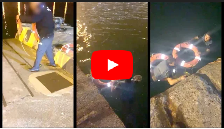 بالفيديو… الشرطة الاسبانية توثق لحظة انقادها لثلاثة مغاربة من الغرق بعد فشلهم في الوصول لباخرة بسبتة المحتلة!