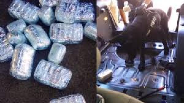 حصلة خايبة… الكلاب البوليسية تكشف كميات مهمة من المخدرات داخل سيارة مهاجر مغربي