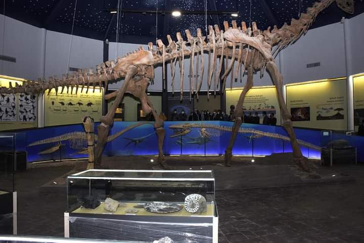 مغرب التاريخ… المغرب يسترجع ثلاث حفريات ديناصورات من الولايات المتحدة