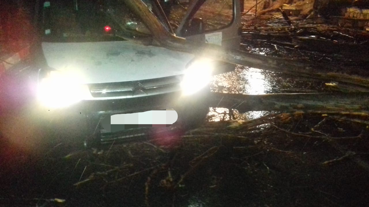 عاجل والسلامة… عاصفة رعدية تتسبب في سقوط شجرة كبيرة على سيارة خفيفة ببني ملال =فيديو +صور=