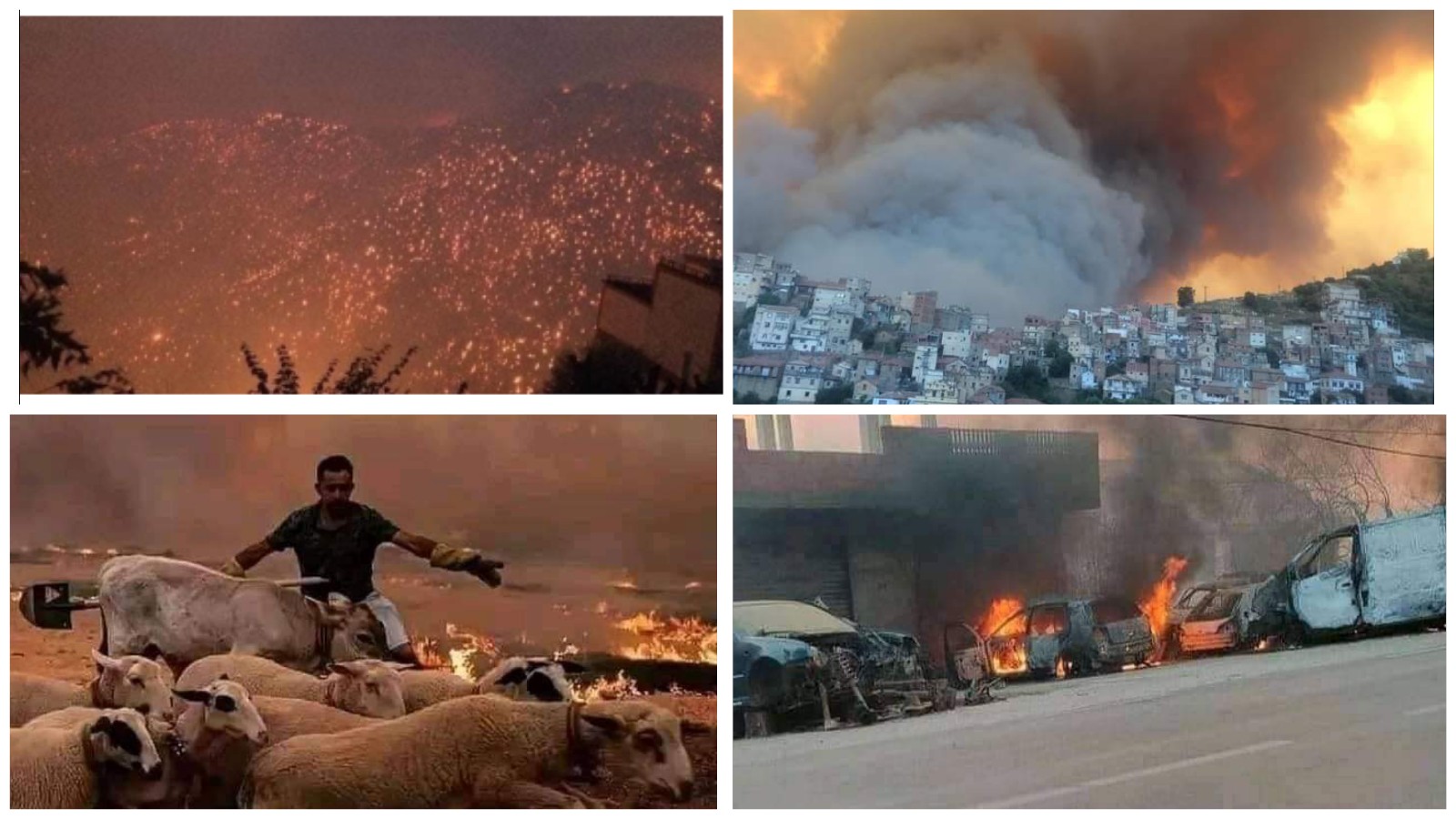 مآساة… وفاة 42 شخصا بينهم 25 عسكريا في الحرائق المهولة بالجزائر