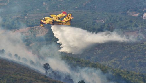 طائرات “كانادير” تواصل الجهود لإخماد حريق أتى على نحو 725 هكتار من الغطاء الغابوي بضواحي شفشاون