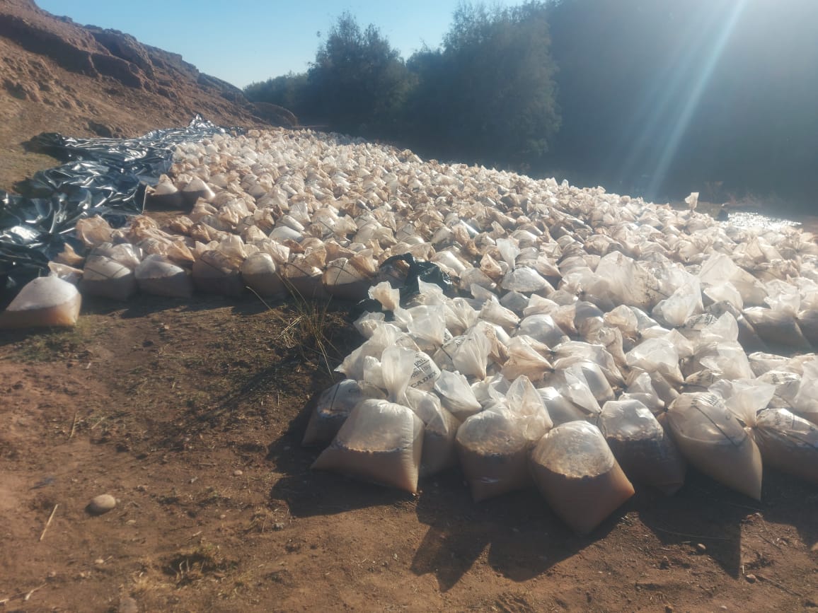 عاجل وبرافو عليهم… الجدارمية طلعو بين الجبال وداهمو معمل ديال الماحيا وحجزو أطنان من التين المجفف و”ماحيا” (صور+ تفاصيل حصرية)