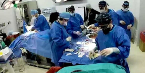 في أول عملية من نوعها…جراحون أمريكيون ينجحون في زراعة قلب خنزير في إنسان