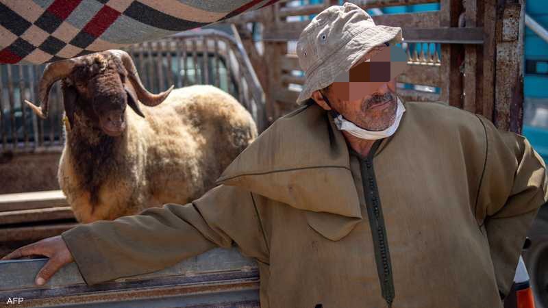 هدشي ماشي معقول… “الشناقة” مشعلين العافية فالحوالة فالاسواق والمواطنين البسطاء ليهم الله وتايناشدو السلطات ترسل لجن مراقبة للتصدي ومحاربة السماسرية