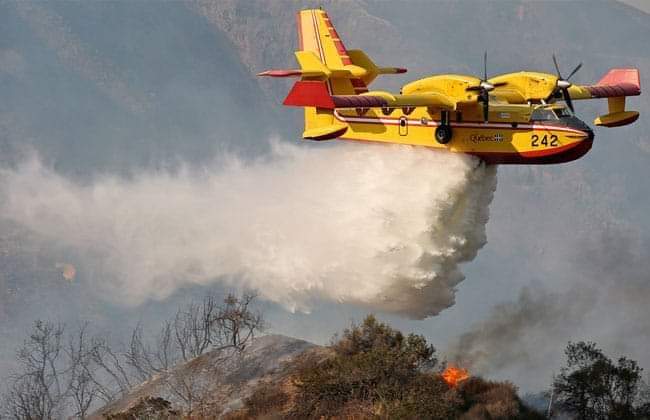 السلامة… حريق ضخم يلتهم أزيد من 130 هكتار وفرق الانقاد تستعين بست طائرات