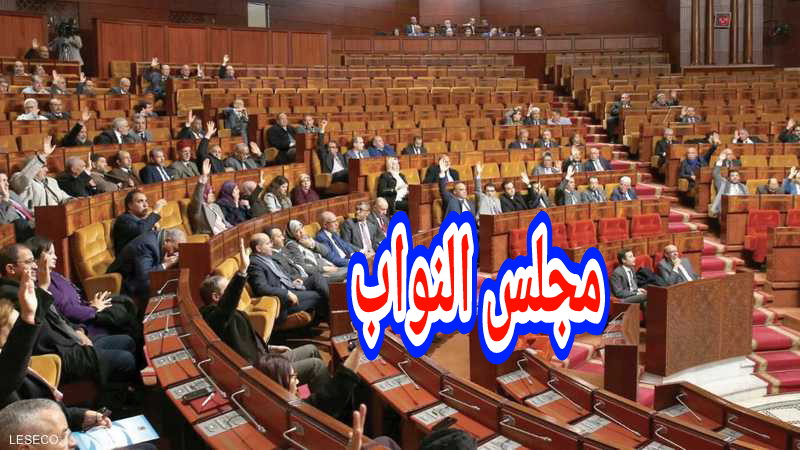 عاجل… المحكمة الدستورية تلغي انتخاب 16 عضوا بالبرلمان =بلاغ=