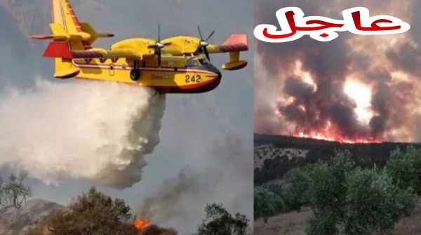 عاجل…طائرات الإطفاء تحل باقليم خنيفرة والرياح تعرقل جهود اخماذ الحريق