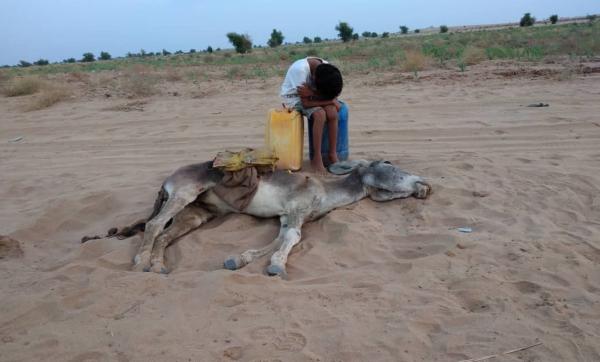 الواحد يعرف اش تاينشر… صفحات تتداول صورة لا علاقة لها بالمغرب لحمار نافق وطفل يبكي =توضيح=