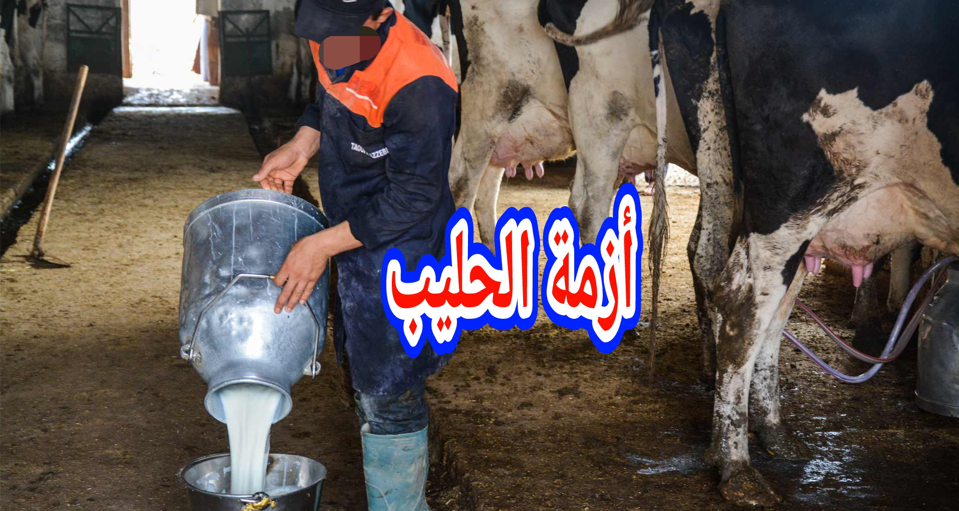 الحكومة تتدخل للحد من نقص الحليب بالمغرب وهذا ما قررته!