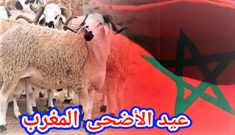 عيد الأضحى في المغرب… من سنة نبوية إلى طقس إجتماعي شبه إلزامي!