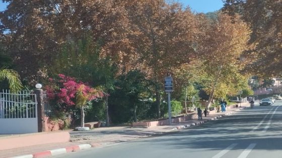 ردو بالكم… وكالة السلامة الطرقية تنبه السائقين إلى الشروع في رصد المخالفات في اتجاهي السير معا ذهابا وإيابا بواسطة الردارات الآلية الحديثة